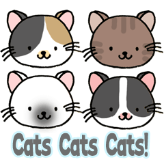 ねこの毎日使えるスタンプ