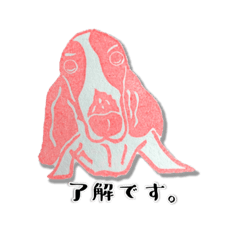 敬語犬　バセット•ハウンドのmimimiちゃん