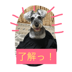 シュナのえるいちご