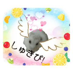 ハムちゃんの日常　4