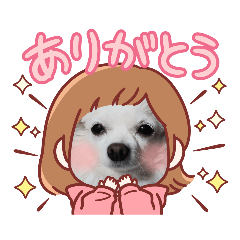 ほごいぬちわくりりん１