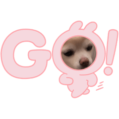 犬とねこスタンプ