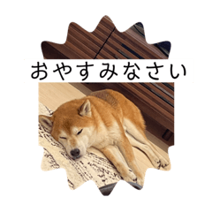 かぼちゃスタンプ2