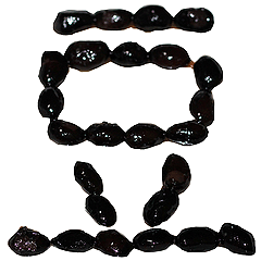 全てを肯定する豆