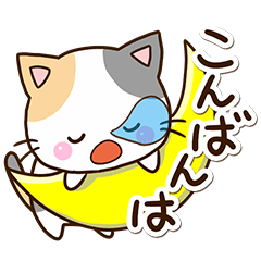 かわいいお茶目な三毛猫