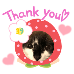 愛しのさぁたん♡