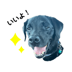 クランとケンルと一部ロト