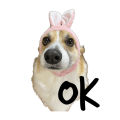 アイン’s スタンプ