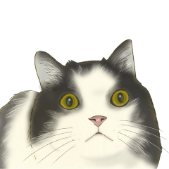 モフ猫軍団❤️気持ち伝えて❤️猫の日ver.