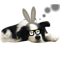 grace_20230223133908