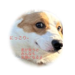 月　太陽　風　三兄弟のつぶやき