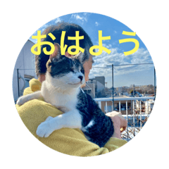 使いやすいあんず