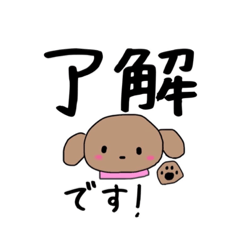 トイプードル あいさつ 敬語 デカ文字