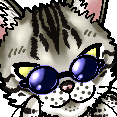 エジプシャンマウみたいな猫～☆敬語