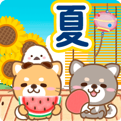 大人のための柴犬♪動く夏の気遣いスタンプ