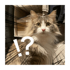 ルイくんスタンプ003