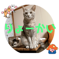 しらたまとこんにゃく③