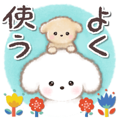 毎日使える基本☆トイプードル