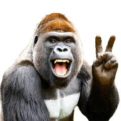 リアル☆ゴリラ  ( 使いやすい )