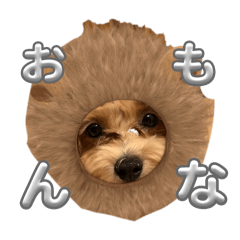 日常モカスタンプ︎^_^