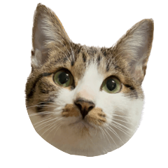 うずめの毎日２