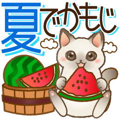 大きくてみやすい！でか文字 はぴきゃと夏