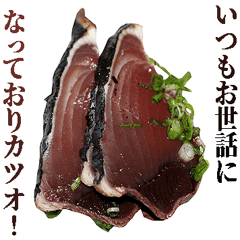 年中使える面白カツオ