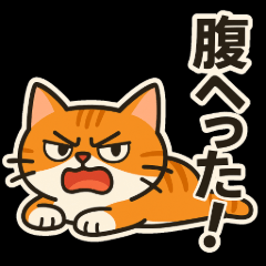 なぜかキレてる猫スタンプ