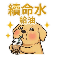 ゴールデンレトリバー亮亮の社畜日記