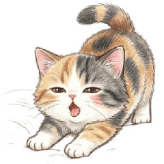 ♥三毛猫の豊かな表情（文字なしビッグ）