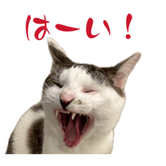 ふふちゃんは今日もかわいい
