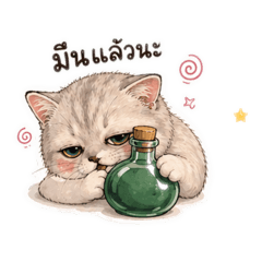 Dailymeow Co._20260501162720
