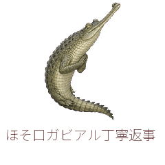ほそ口ガビアル丁寧返事