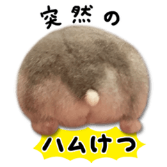 ハムスターの盛り合わせ