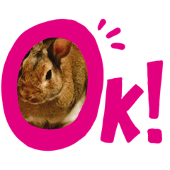 うさぎのリリー2