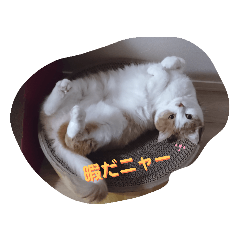 ネコちゃんのまったりスタンプ