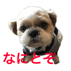 おはなしなつお