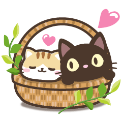 クロときどきミケ