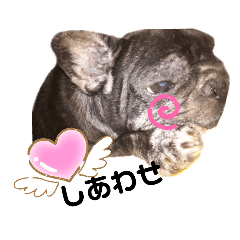 ブリンドルかのんvol.3