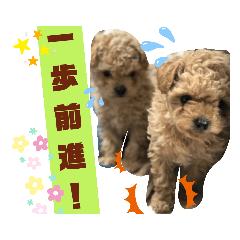 愉快なといぷーファミリー日常会話