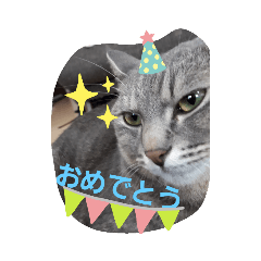 たこす、シードのスタンプ