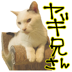 ぼくらのヤギにいさん！