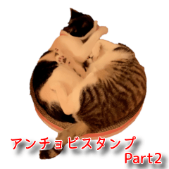 飼い猫(アンチョビ)たちの日常パート2