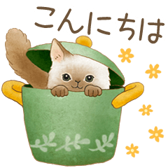 使いやすい☆猫たちのスタンプ