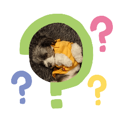 ルークとロビン