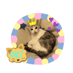 かわいいみいこ