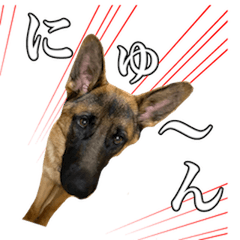 シェパードのまったりスタンプ Vol.2