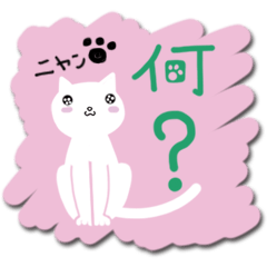 猫ちゃんコレクション