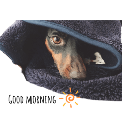 デカピンaceの日常