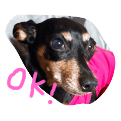 ミニピン、スタンプ